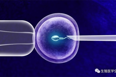 女人哈尔滨代生孩子的最佳年龄段 一辈子生几个孩子最好